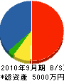 竹中水道 貸借対照表 2010年9月期