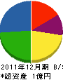山正総業 貸借対照表 2011年12月期