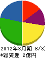 山修嶋田建業 貸借対照表 2012年3月期