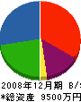 西村組 貸借対照表 2008年12月期