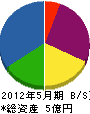 日本推進建設 貸借対照表 2012年5月期