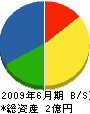 石田建装 貸借対照表 2009年6月期