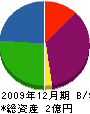 興栄伸建 貸借対照表 2009年12月期