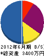 沖縄総設 貸借対照表 2012年6月期