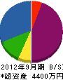 中村電気商会 貸借対照表 2012年9月期