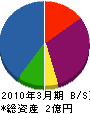亀山電機 貸借対照表 2010年3月期