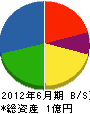横本組 貸借対照表 2012年6月期