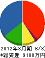椎名塗装店 貸借対照表 2012年3月期