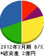 新潟スーパー産業 貸借対照表 2012年3月期