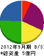 東亜技研 貸借対照表 2012年9月期