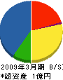遠塚建設 貸借対照表 2009年3月期