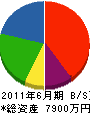小野沢組 貸借対照表 2011年6月期