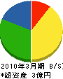 ヤマキ山下工業 貸借対照表 2010年3月期