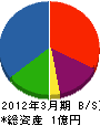 前川建設 貸借対照表 2012年3月期