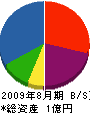 瀧澤興業 貸借対照表 2009年8月期