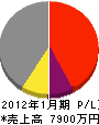 小松 損益計算書 2012年1月期