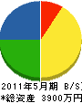 川上工務店 貸借対照表 2011年5月期