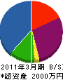 丸山電機商会 貸借対照表 2011年3月期