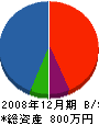 嵯峨座工務所 貸借対照表 2008年12月期