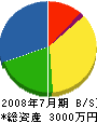 大松園 貸借対照表 2008年7月期