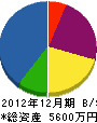 望月塗装 貸借対照表 2012年12月期