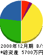 豊田工務店 貸借対照表 2008年12月期