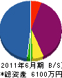 晃電社 貸借対照表 2011年6月期