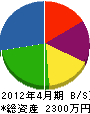 ヤケヤ 貸借対照表 2012年4月期