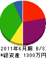 野田組 貸借対照表 2011年6月期