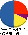 杏明 貸借対照表 2008年10月期