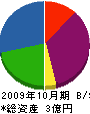 トーユー工業 貸借対照表 2009年10月期