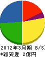 大村電気工事 貸借対照表 2012年3月期