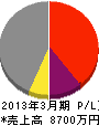柳澤電気工業 損益計算書 2013年3月期