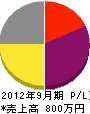 平井電気工業社 損益計算書 2012年9月期