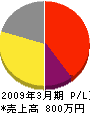 石井組 損益計算書 2009年3月期