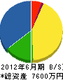 川崎工業 貸借対照表 2012年6月期