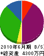 浦田建築 貸借対照表 2010年6月期