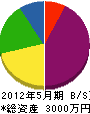 菅設備商会 貸借対照表 2012年5月期