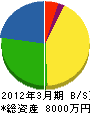 栁澤商事 貸借対照表 2012年3月期