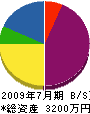 和田塗装工芸 貸借対照表 2009年7月期