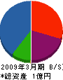 東洋コンポジット 貸借対照表 2009年3月期