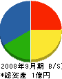 京葉興業 貸借対照表 2008年9月期