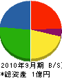 朝日電工 貸借対照表 2010年9月期