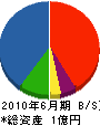 小笠原組 貸借対照表 2010年6月期