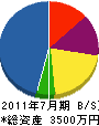 丸山電化サービス 貸借対照表 2011年7月期