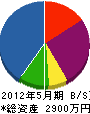 渡辺造園土木 貸借対照表 2012年5月期