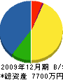 琴平塗装 貸借対照表 2009年12月期