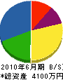 相模設備工業 貸借対照表 2010年6月期 相模設備工業 貸借対照表 2010年6月期