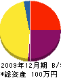 西田電気 貸借対照表 2009年12月期