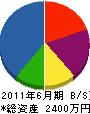 琉渡開発 貸借対照表 2011年6月期